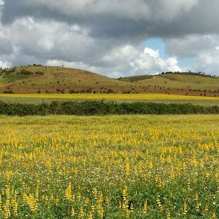 Village Loft Cercal do Alentejo Εξωτερικό φωτογραφία