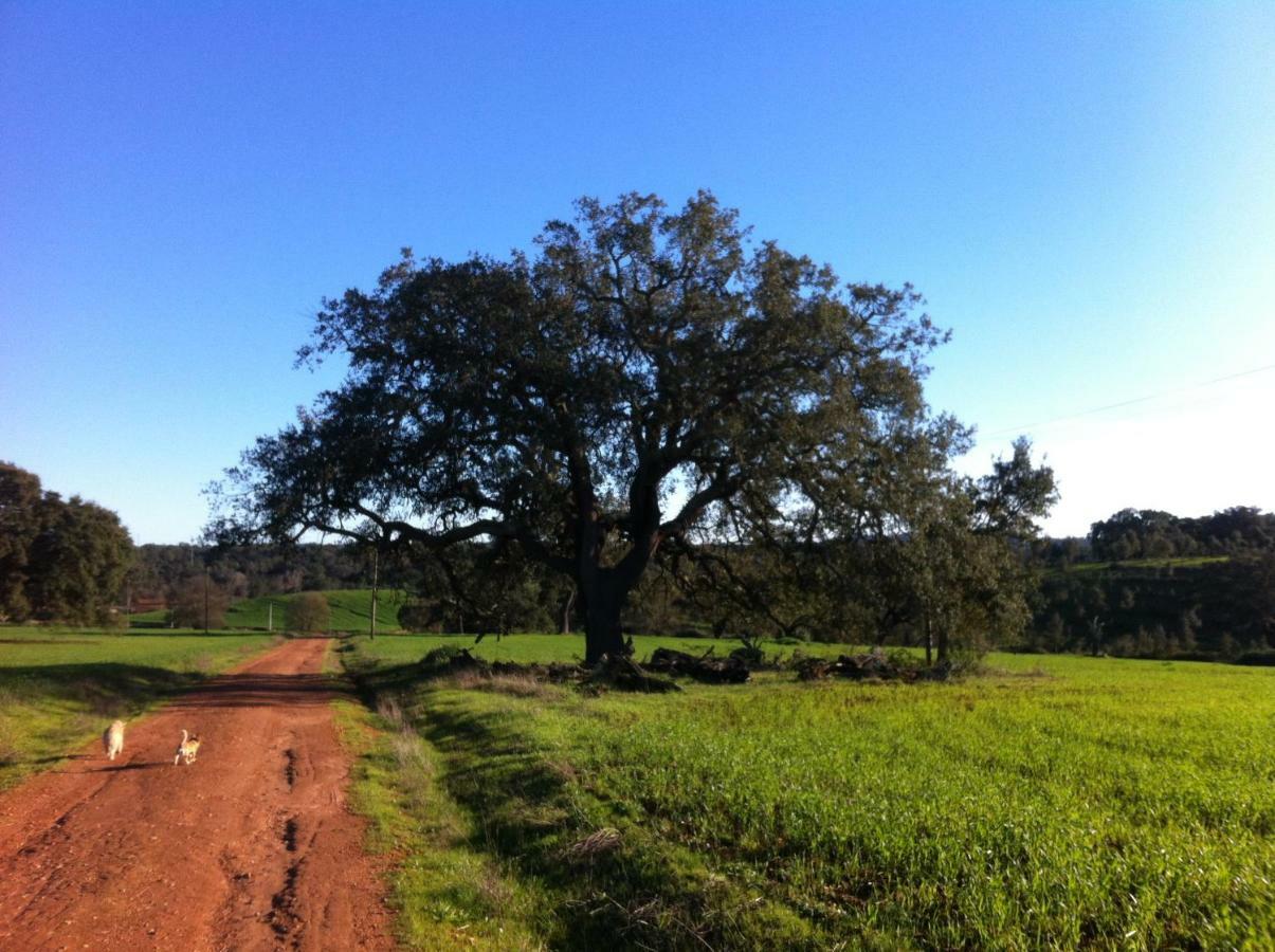 Village Loft Cercal do Alentejo Εξωτερικό φωτογραφία