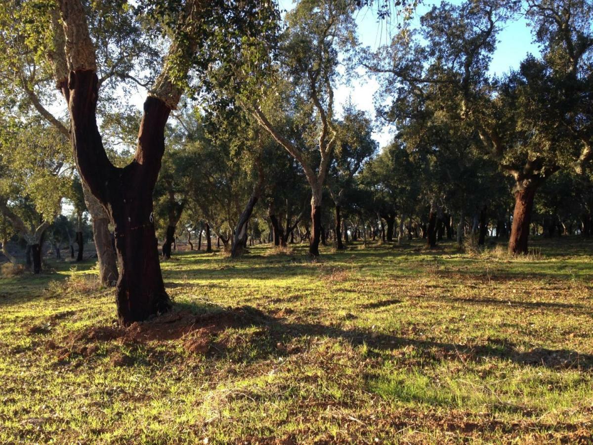 Village Loft Cercal do Alentejo Εξωτερικό φωτογραφία